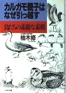Amazon.com: Osamu Yunoki: books, biography, latest update